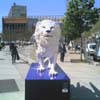 Biennale Lions 09